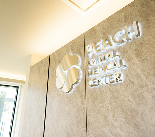 あなたと、あなたの大切な家族の「いちばん安心できる場所」でありたい