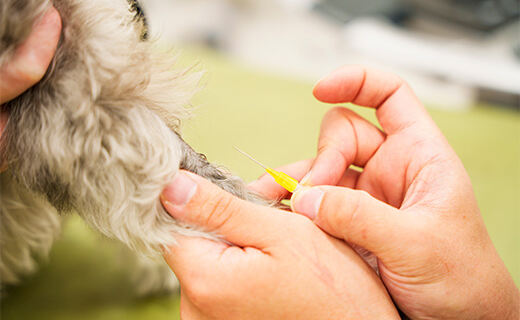予防・健康管理にも力を入れています