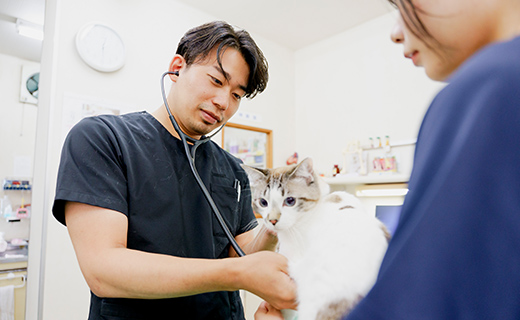 猫の扱いに熟練したスタッフ
