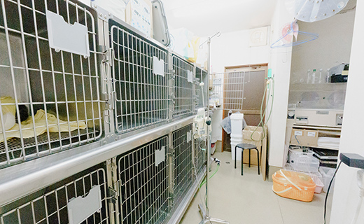 猫専用の入院室・入院ケア