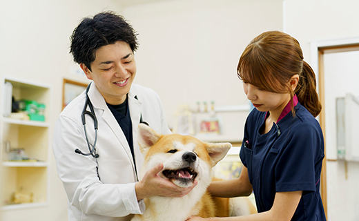 セカンドオピニオンと連携