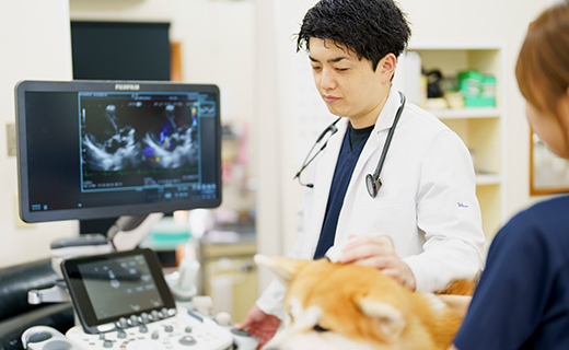 一般診療と認定医による診察の違い