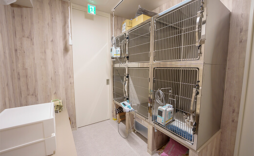 猫用入院室