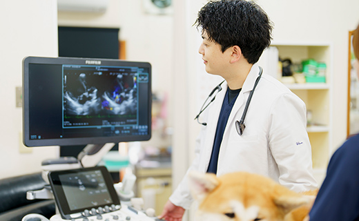 高精度な検査で病態を“見える化”