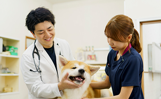 一頭一頭に合わせた治療方針