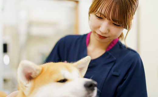 飼い主さまへの丁寧な説明と継続ケア