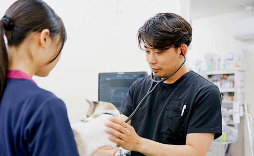 獣医腫瘍科認定医について