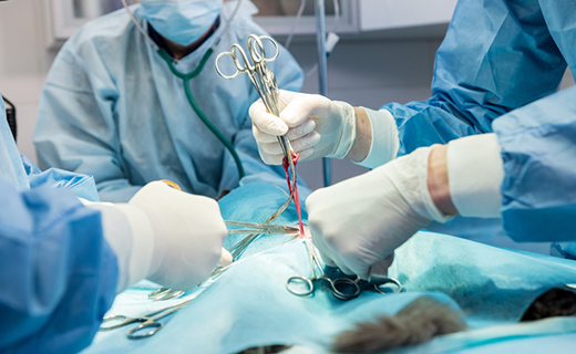 大学病院レベルのスペシャリストによる診療・手術