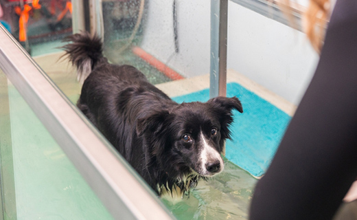 リハビリにより術後回復と機能回復をサポート