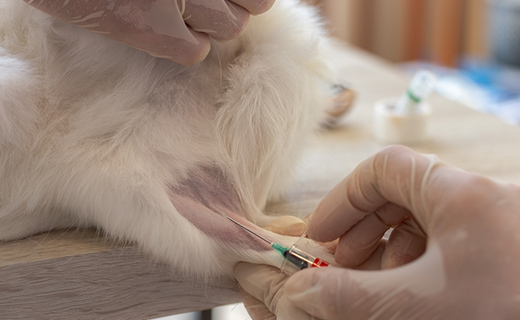 消化器科（胃腸・肝臓・膵臓）