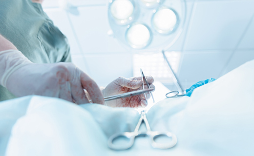 軟部外科（体表・お腹の手術）