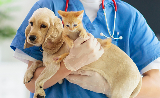 内分泌科（ホルモンの病気）