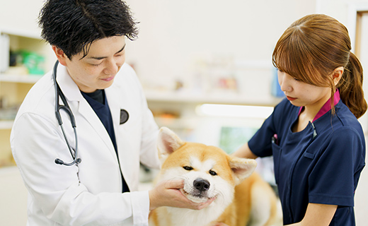 診察前後や待ち時間にも利用できます