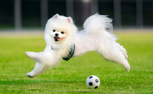 からだもこころも健康に