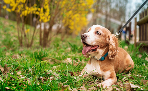 ストレスケアを大切に