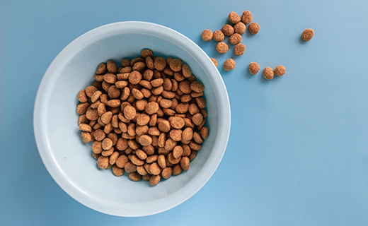 投薬・食事にも対応