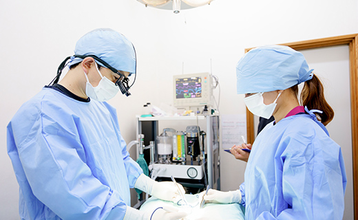 手術・治療との連携