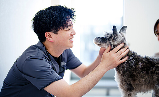 手術に対する当院の考え方